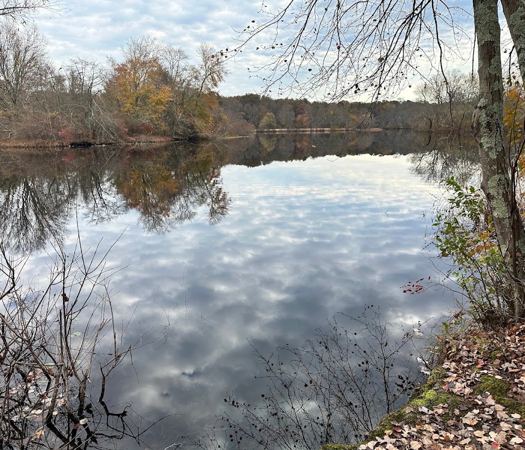Turkey Swamp Park 2